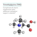 nutricology-tmg-trimethylglycine-support-5.jpg