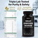shilajit-ashwagandha-mushroom-capsules-h-2.jpg