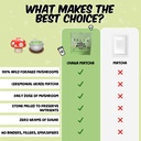 renude-variety-pack-mushroom-matcha-coff-4.jpg