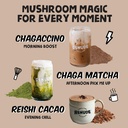 renude-variety-pack-mushroom-matcha-coff-2.jpg