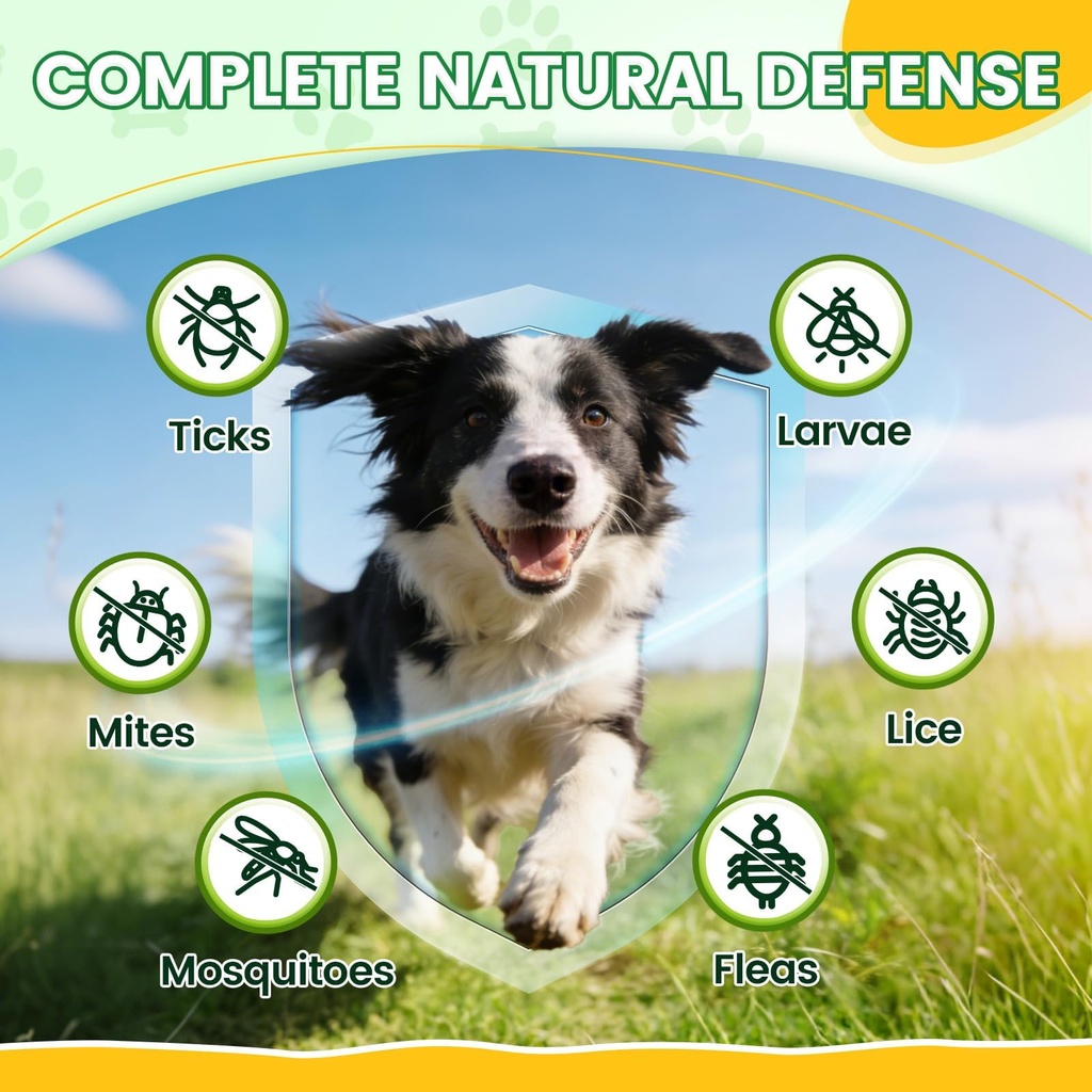 flea-and-tick-prevention-for-dogs-chews--4.jpg