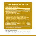 premier-research-labs-allercaps-a-lung-h-6.jpg