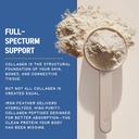 iron-feather-collagen-powder-vanilla-mul-4.jpg