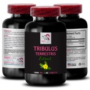 pure-muscle-support-tribulus-terrestris--2.jpg