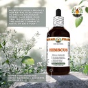 hawaii-pharm-hibiscus-alcohol-free-extra-5.jpg