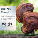 serenity-reishi-mushroom-gummies-for-adu-5.jpg