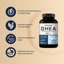 naturebell-dhea-100mg-240-capsules-max-s-5.jpg