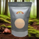 reishi-mushroom-powder-ganoderma-lucidum-2.jpg