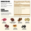 noto-master-reishi-mushroom-lingzhi-supp-4.jpg