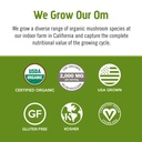 om-mushroom-superfood-matcha-latte-blend-3.jpg