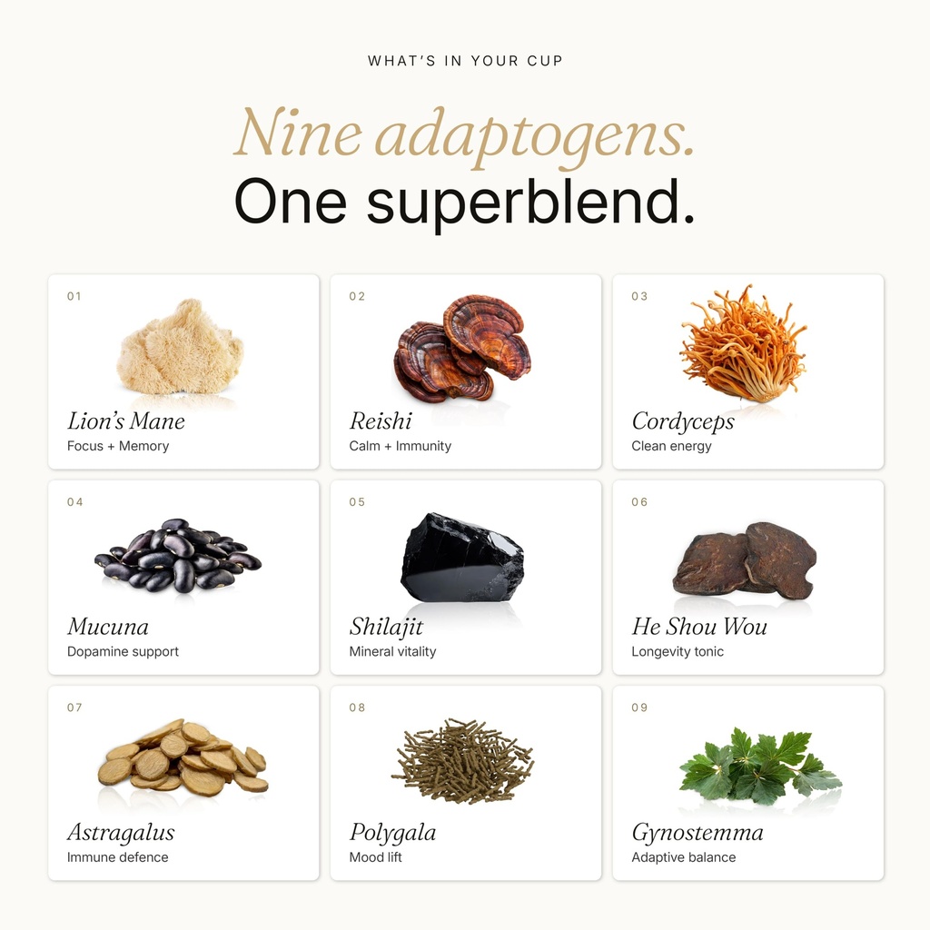 mushroom-coffee-creamer-superfood-blend--3.jpg