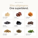 mushroom-coffee-creamer-superfood-blend--3.jpg