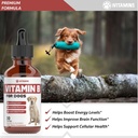 vitamin-b-for-dogs-vitamin-b-complex-for-3.jpg