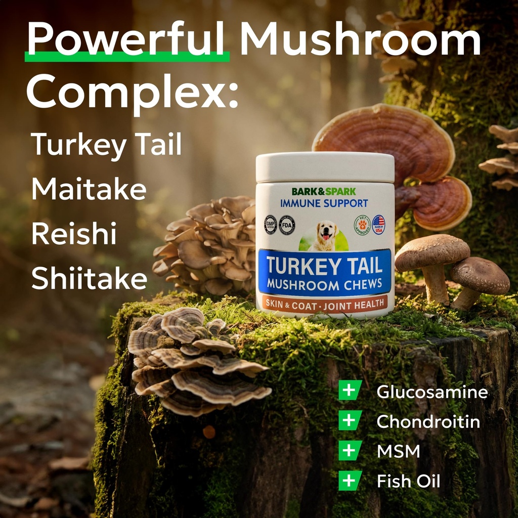 bark-spark-turkey-tail-mushroom-for-dogs-4.jpg