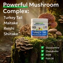 bark-spark-turkey-tail-mushroom-for-dogs-4.jpg