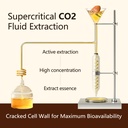 organic-reishi-spore-oil-immunity-suppor-4.jpg
