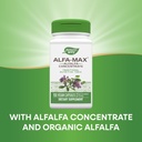 natures-way-alfa-max---alfalfa-supplemen-3.jpg