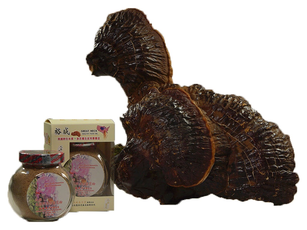 yu-wei-ginseng-wild-american-ganoderma-l-4.jpg