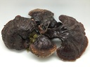 yu-wei-ginseng-wild-american-ganoderma-l-2.jpg