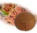 all-nature-reishi-mushroom-extract-ganod-4.jpg