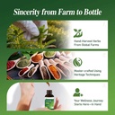 cleavers-herb-extract-organic-drops-for--6.jpg