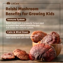 lilicare-kids-reishi-mushroom-sleep-gumm-5.jpg