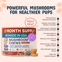 pets-are-kids-turkey-tail-mushroom-for-d-2.jpg