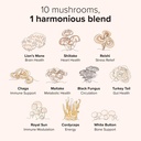 mushroom-gummies-harmony-blend-daily-mus-4.jpg