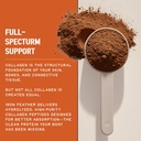 iron-feather-collagen-powder-chocolate-m-4.jpg