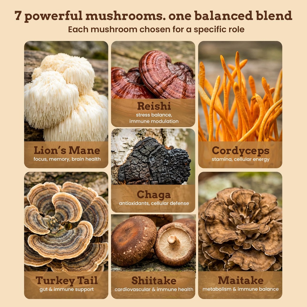 life-force-7-mushroom-blend-powder-organ-3.jpg