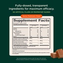 genius-mushroom-plant-based-supplement-f-4.jpg