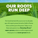 amazing-grass-super-greens-powder-energy-5.jpg