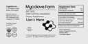 organic-lion-s-mane-gotu-kola-tincture-b-5.jpg