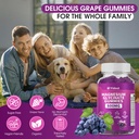 600mg-magnesium-glycinate-gummies-high-a-4.jpg