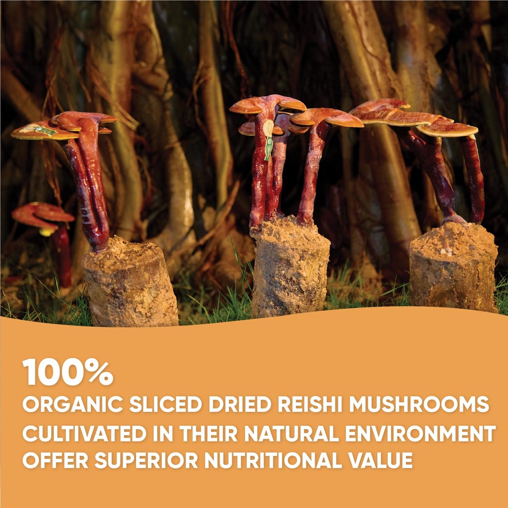 vos-ganolucidum-100-organic-sliced-dried-3.jpg