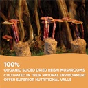 vos-ganolucidum-100-organic-sliced-dried-3.jpg