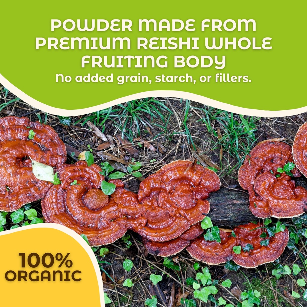 hongo-mushroom-powder-premium-reishi-pow-4.jpg