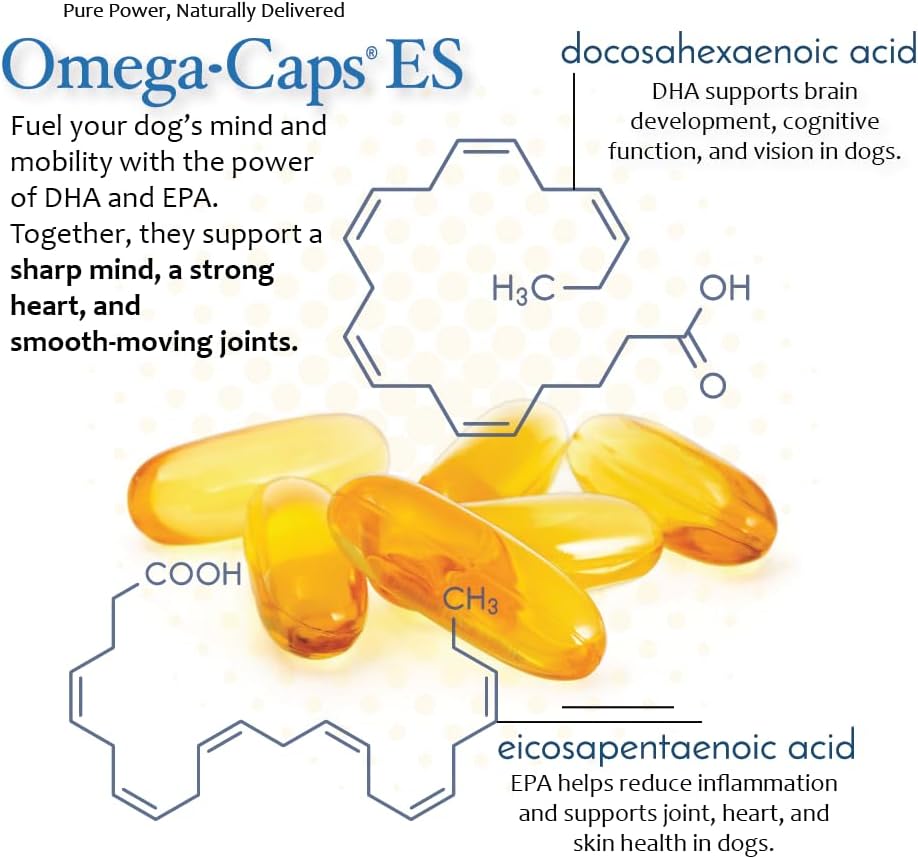 omega-caps-extra-strength-for-large-bree-5.jpg