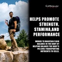 controlled-labs-orange-hydrapush-electro-3.jpg