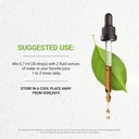 secrets-of-the-tribe-dong-quai-tincture--3.jpg
