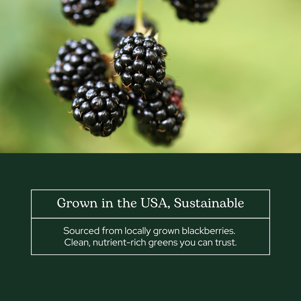 eclectic-herb-blackberry-powder-overall--6.jpg