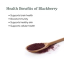eclectic-herb-blackberry-powder-overall--4.jpg