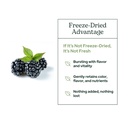 eclectic-herb-blackberry-powder-overall--5.jpg