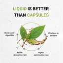 secrets-of-the-tribe-diarrhea-tribal-car-2.jpg