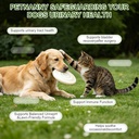 petnanny-urinary-support-drops-for-dogs--81qhYQarOgL.jpg