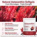 2-pack-astaxanthin-supplements-12mg-asta-81WpOnNx-1L.jpg