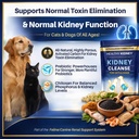 kidney-cleanse-for-cats-dogs-activated-c-81uL2d1EzoL.jpg
