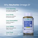 neuherbs-deep-sea-omega-3-fish-oil-capsu-71pHeRVI1DL.jpg