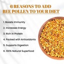 earthkind-bee-pollen-125g-100-natural-su-712EDTN2BhL.jpg