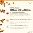 wellwith-by-ayuzera-sea-buckthorn-berry--71OzSktsaAL.jpg